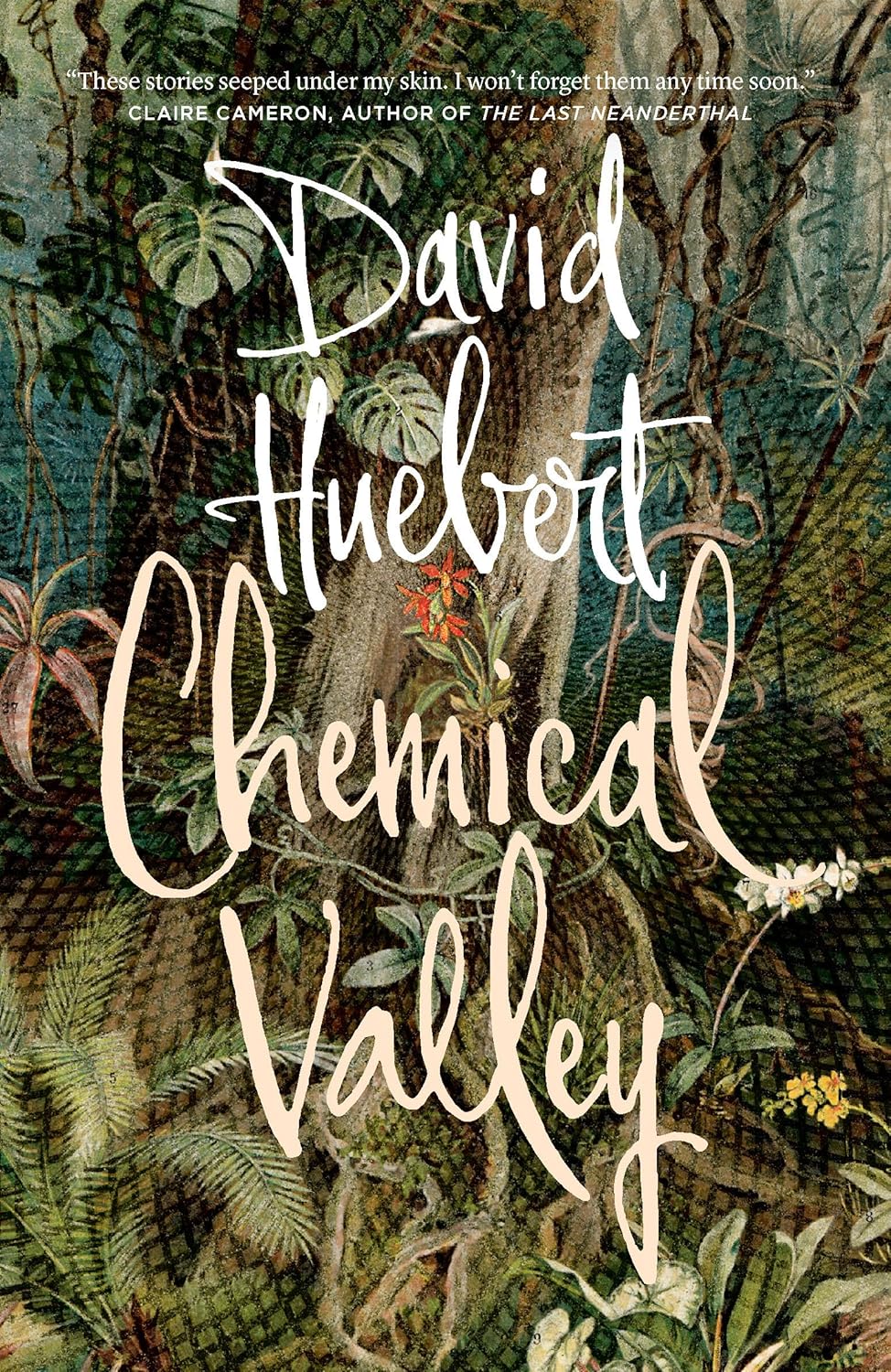 Thomas Raddall Library Thomas Raddall Atlantic Fiction Award – Writers’ Federation of Nova Scotia